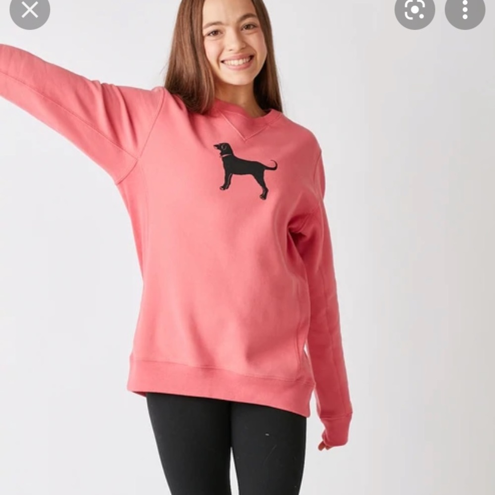 Black Dog Pink Hoodie